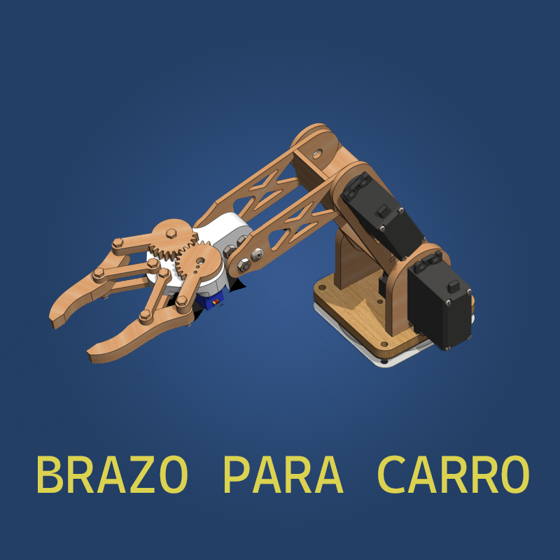 Brazo para carro